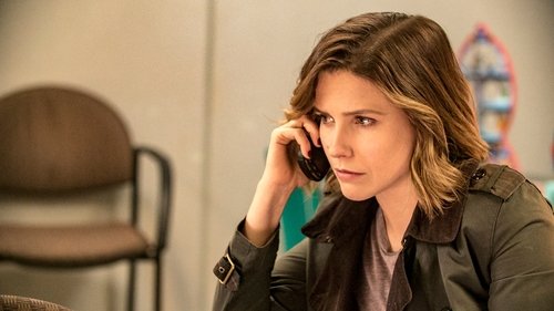 Chicago P.D. Distrito 21: 3×22