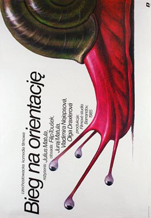 Download Now Bloudění orientačního běžce (1988) Movie uTorrent Blu-ray Online Streaming