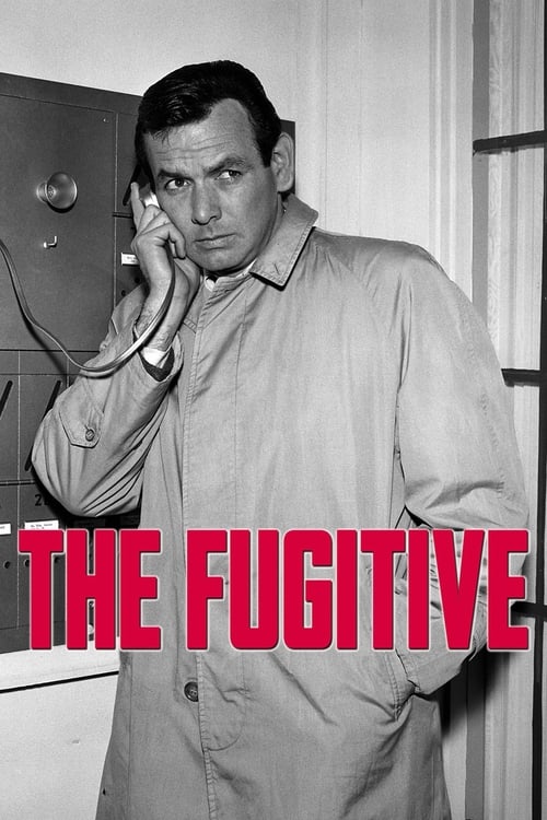 Poster The Fugitive