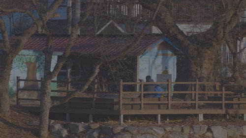 송주의 시 Backdrop Blur