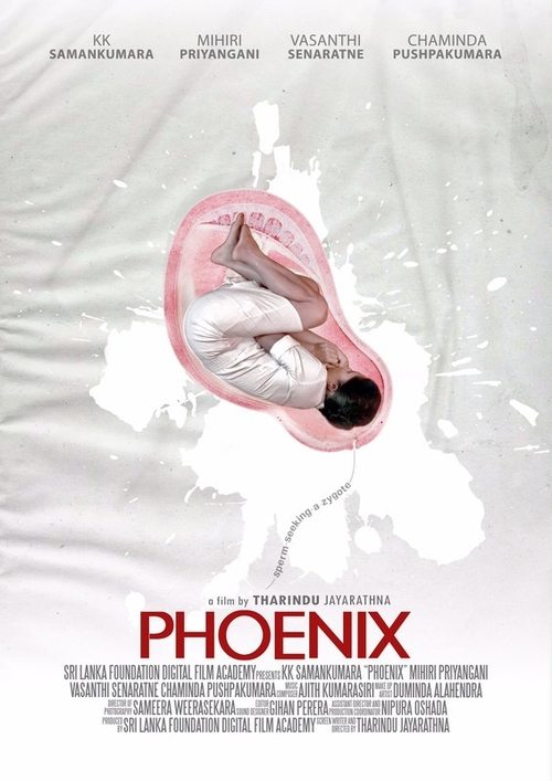 Phoenix movie poster player