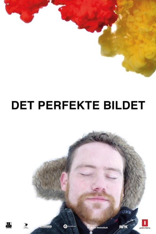 Det perfekte bildet (2017)