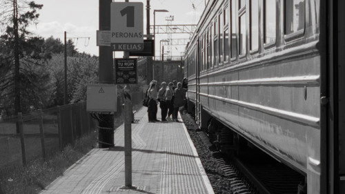 Next Stop Paneriai