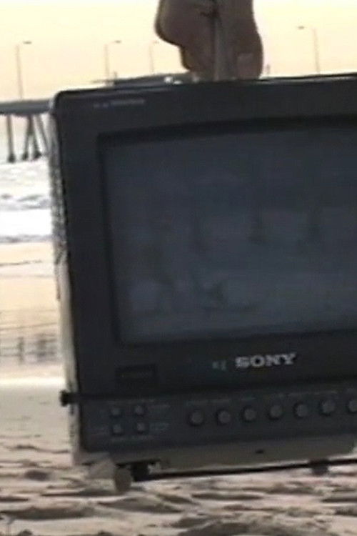 Venice in Berlin in Venice (1993) poster