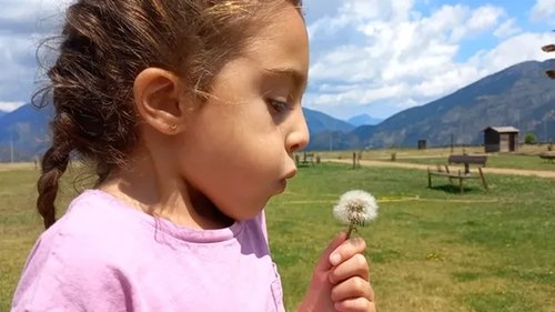 Image de l'épisode 1