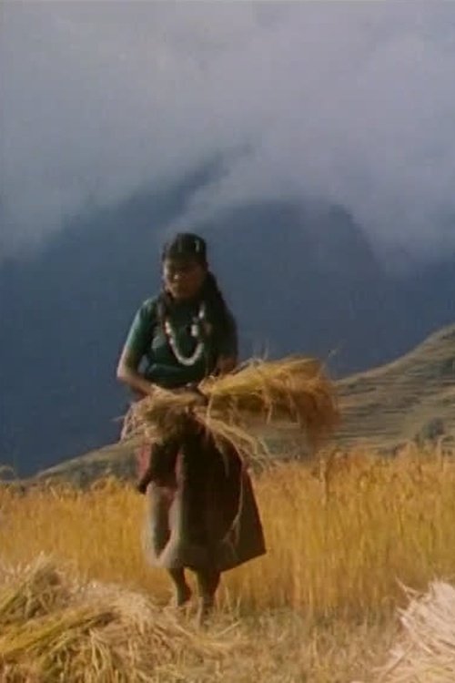 Le fardeau et la provende (1985) poster