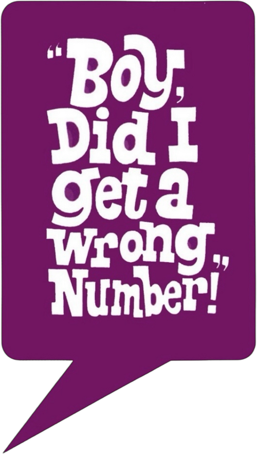 Boy, Did I Get a Wrong Number! logo