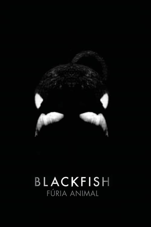 Poster do filme Blackfish
