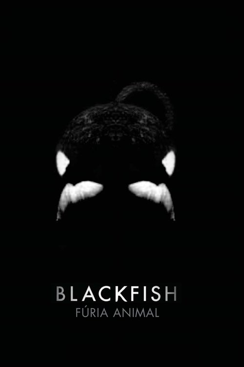 Poster do filme Blackfish: Fúria Animal