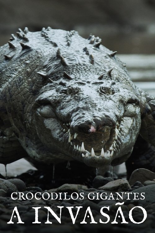 Crocodilos Gigantes: A Invasão