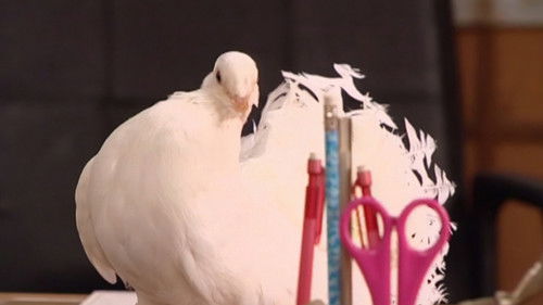 Image de l'épisode 16