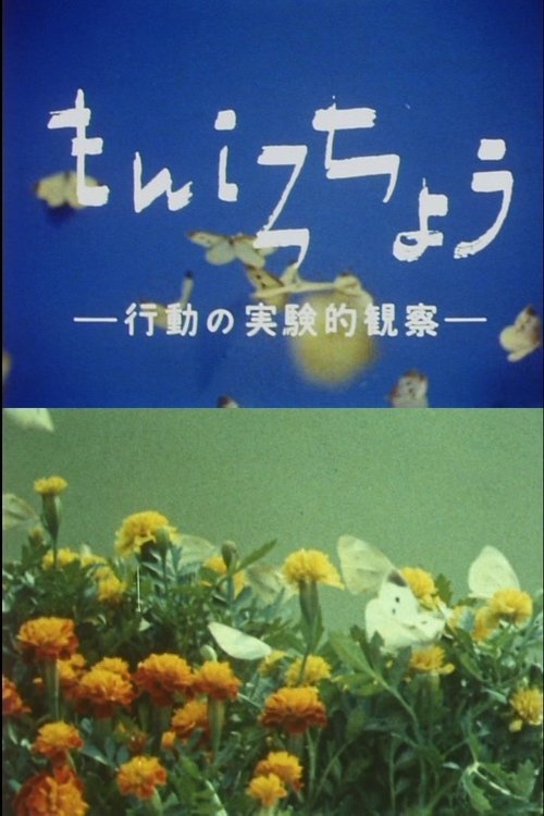 もんしろちょう-行動の実験的観察