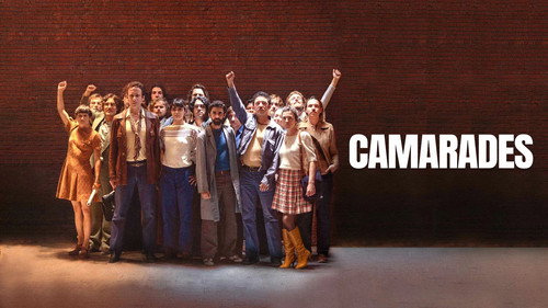Camarades