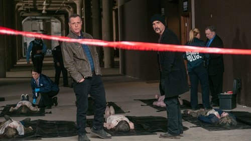 Chicago P.D. Distrito 21: 2×19