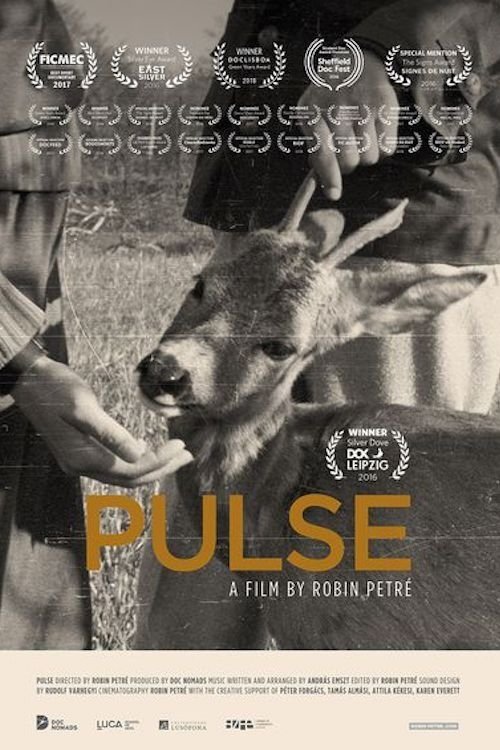 Nonton film Pulse (2016) terbaru sub indo Nonton film Pulse (2016) terbaru sub indo