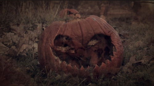 3 Dead Trick or Treaters cover