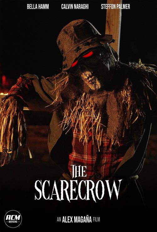The Scarecrow cover