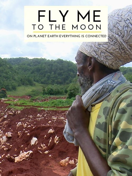 Fly Me to the Moon poster