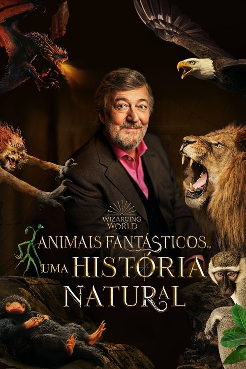 Pôster de Animais Fantásticos Uma História Natural