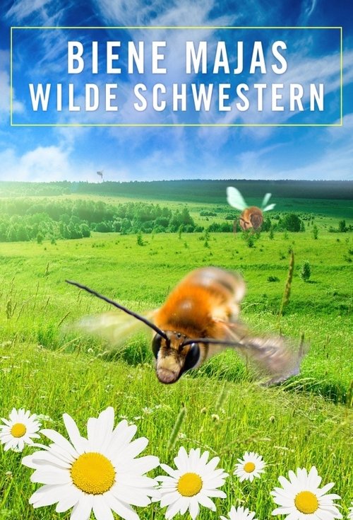 Biene Majas wilde Schwestern poster