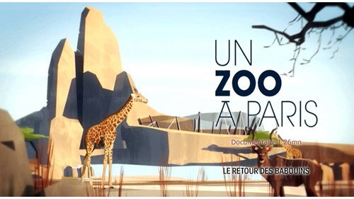 Image Le retour des babouins