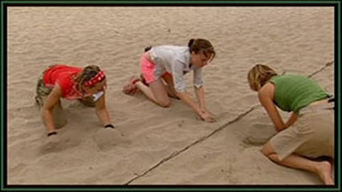 Wie is de Mol?, S05E08 - (2005)