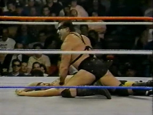 December 17, 1988 - Superstars of Wrestling 120