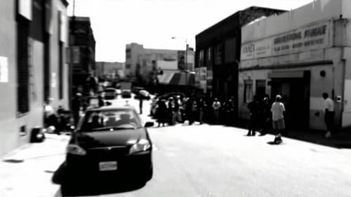 Image de l'épisode 21