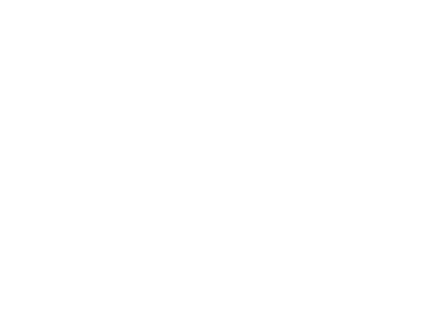 Wild Life