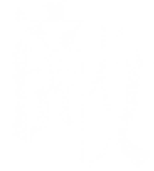 Teki Cometh