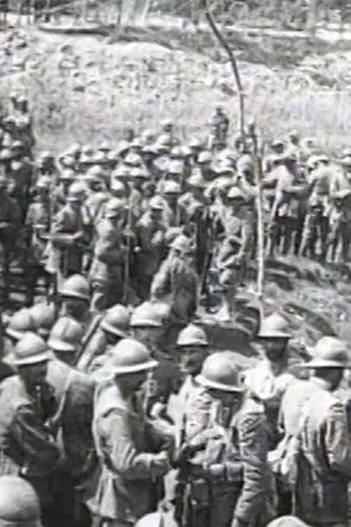 Montaggio di riprese dal vero