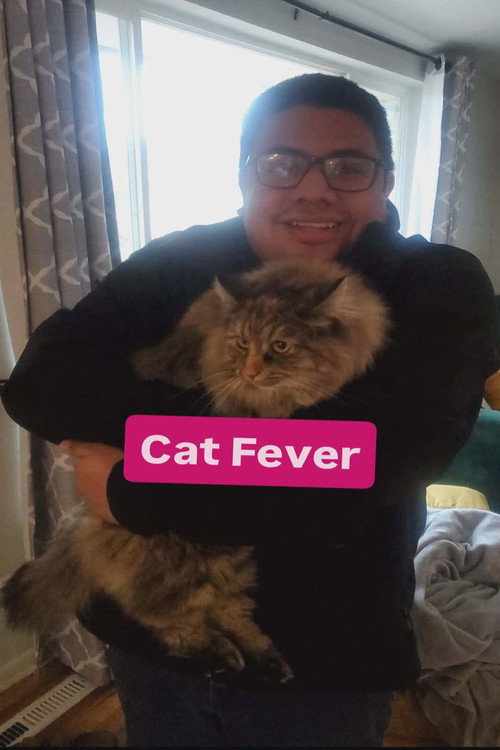 Cat Fever