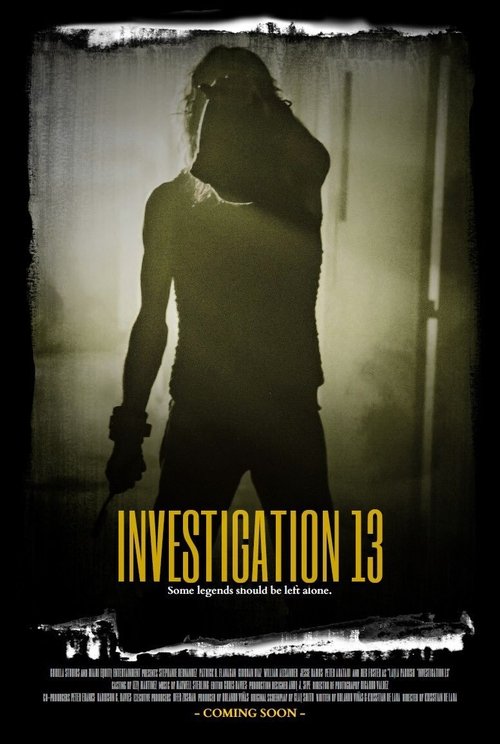 Investigation 13 poster