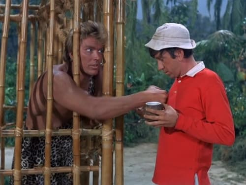 Poster della serie Gilligan's Island