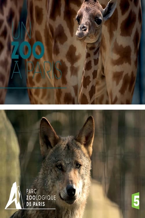 Poster Paris Zoo: An Insider's View