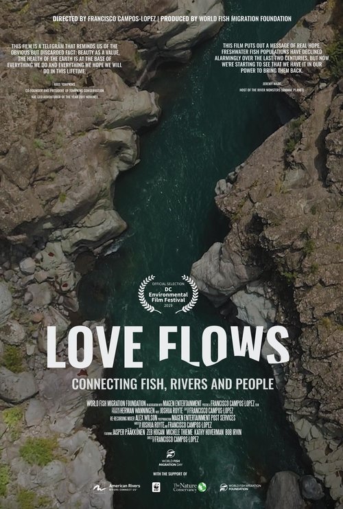 Love Flows poster