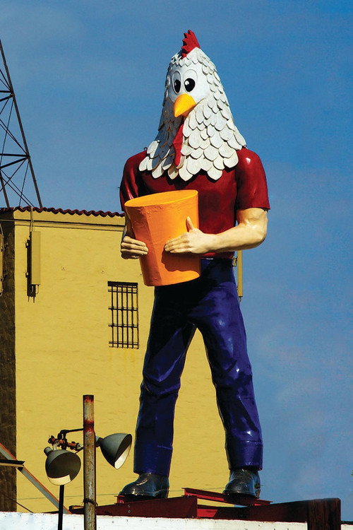 Chicken Boy: The Movie