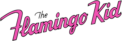 The Flamingo Kid