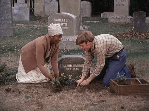 The Waltons, S06E18 - (1978)