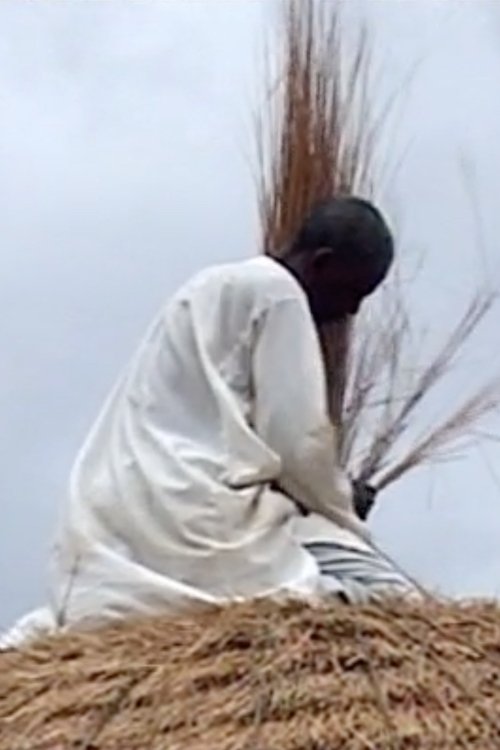 Diyam Wala: Water and Life in Kalfou Cameroon