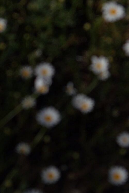 25 aprile poster