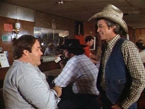 Dallas, S02E14 - (1979)