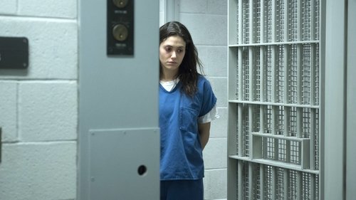 Shameless (US): 4×6