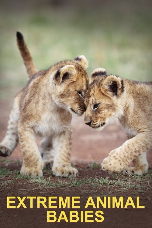 Poster Extreme Animal Babies