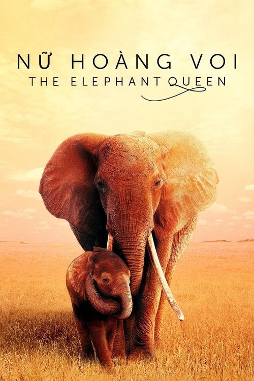 Poster Nữ Hoàng Voi - The Elephant Queen