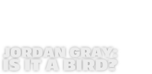 Jordan Gray: Is It A Bird?
