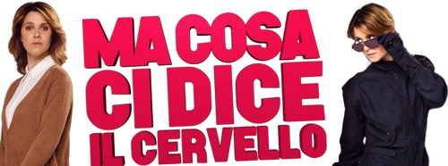 Ma cosa ci dice il cervello