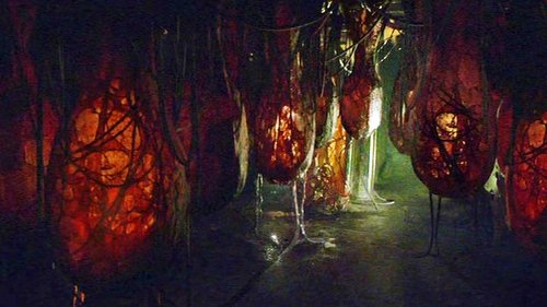 Stargate Atlantis: 3×19