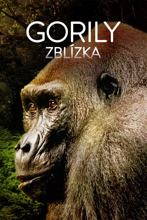 Gorillas Close Up poster