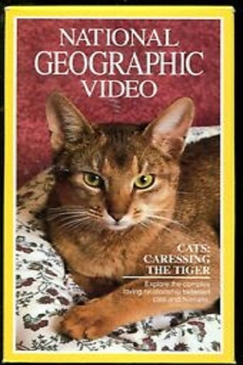 Cats: Caressing The Tiger poster
